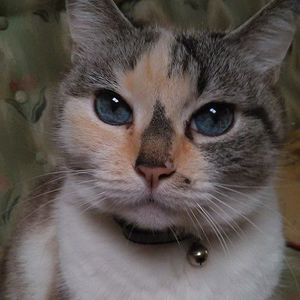 Meet your Posher, Sergio